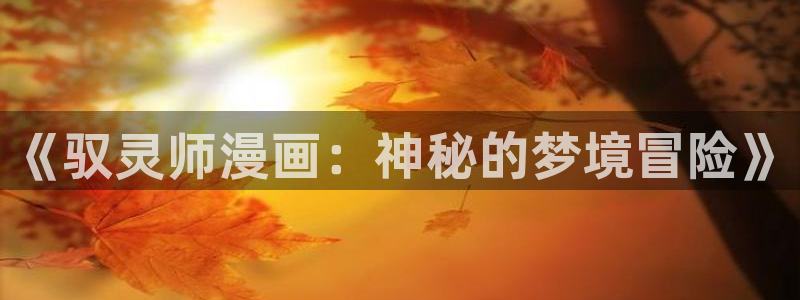 奇漫屋画漫画下拉式：《驭灵师漫画：神秘的梦境冒险》