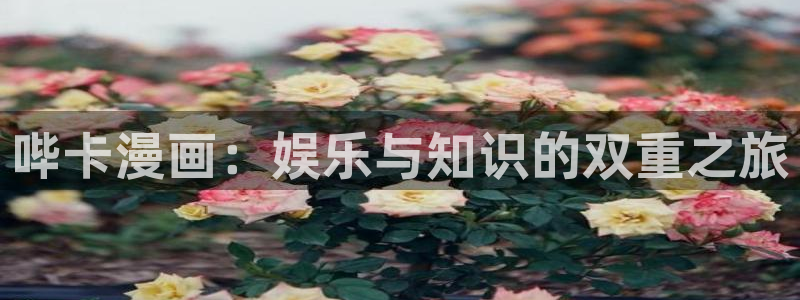 奇漫屋免费漫画官网入口：哔卡漫画：娱乐与知识的双重之旅
